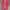 Vans authentic pink girls photo 6