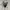 Vans sk8 low black white photo 2