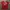 Jersey Manchester united  photo 1