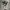 Converse jack purcell black white leather photo 1