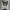 Converse jack purcell black white leather photo 2