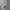 Jersey Away Arsenal 2020/2021 Original  photo 8