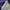 Streetwear Windbreaker Pria purple white photo 3
