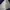 Streetwear Windbreaker Pria purple white photo 4