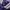 Streetwear Windbreaker Pria purple white photo 5
