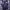 Streetwear Windbreaker Pria Purple White