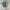 Adidas gazelle indoor blue white photo 1