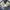 JAPAN BLUE JEANS SELVEDGE  photo 9