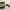 Bottega Veneta Aviator Sunglasses 