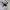 Adidas superstar skate low suede black white photo 2