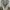 TRUGEN JAS PIRA XL BLAZER PRIA WOOL CLASIC photo 4