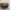 Coach Kristina Aviator Sunglasses  photo 4