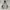 Gorpcore Casual Trench coat Pria black gray photo 2