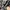 LOUIS VUITTON TRAINER WHITE BLACK , LOUIS VUITTON TRAINER ,  photo 6