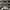 LOUIS VUITTON TRAINER WHITE BLACK , LOUIS VUITTON TRAINER ,  photo 1