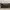 Ray-Ban Clubmaster Metal Sunglasses 
