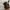 Ray-Ban Round Folding Sunglasses  photo 2
