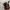 Ray-Ban Round Folding Sunglasses 