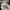 Vans Sk8 Low Black White photo 5