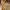GUCCI GG Canvas & Leather Medium Bree Tote photo 3