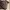GUCCI GG Canvas & Leather Medium Bree Tote photo 6
