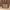 GUCCI GG Canvas & Leather Medium Bree Tote photo 1