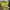 Parma Home 2012-2013 Jersey By Duma Production (Non Official photo 9