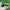 RayBan Wayfarer Special Series RB2140 photo 2
