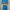 Muslim Other Wanita blue yellow photo 2