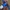 Umbro Sportswear Jersey Pria blue photo 1