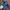 Umbro Sportswear Jersey Pria Blue