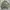 Alpha Industries Vintage Y2K Bomber jacket Pria green photo 1