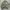 Alpha Industries Vintage Y2K Bomber Jacket Pria Green