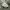 Alpha Industries Vintage Y2K Bomber jacket Pria green photo 6