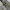 Alpha Industries Vintage Y2K Bomber jacket Pria green photo 5