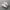 nike p-6000 photo 1