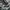 Salomon Gorpcore Casual Sneakers Pria white black photo 3