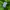 Nike Streetwear Sportswear Track jacket Pria green black photo 7