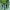 Nike Streetwear Sportswear Track jacket Pria green black photo 3