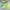 Roxy Women Green Surf Boardshorts (28) photo 4