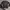 Y2k affliction diesel Long sleeve photo 2