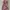 Y2K Summer Dress Wanita Pink