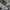 Salomon Gorpcore Casual Sneakers Pria white black photo 3