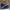 AIR JORDAN ROYAL BLUE