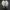 Salomon Gorpcore Casual Sneakers Pria white cream photo 7