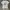 X-Large Basic Logo Tee photo 1