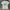 X-Large Basic Logo Tee