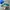 Adidas Stadt Green  photo 2