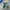 Adidas Stadt Green  photo 1