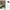 AIR JORDAN PINE GREEN photo 2
